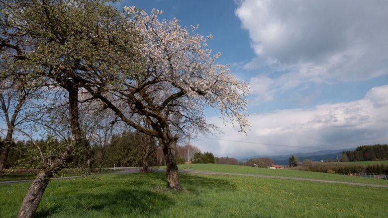Der Stadlberghof: Dein Rückzugsort für neue Energie