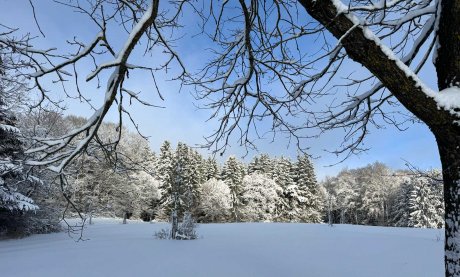 winter januar 2026 Stadlberghof bayerischer wald